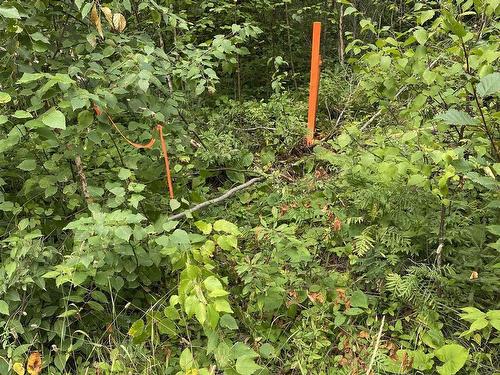 Lot 14 Jarnel Drive, Kenora, ON 