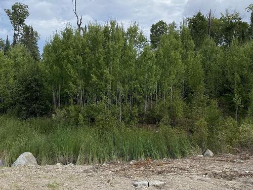 Lot 14 Jarnel Drive, Kenora, ON 