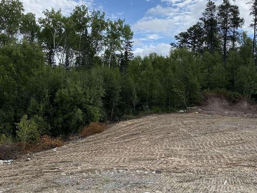 Lot 14 Jarnel Drive, Kenora, ON 