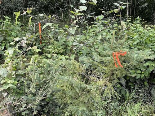 Lot 14 Jarnel Drive, Kenora, ON 