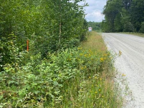Lot 14 Jarnel Drive, Kenora, ON 