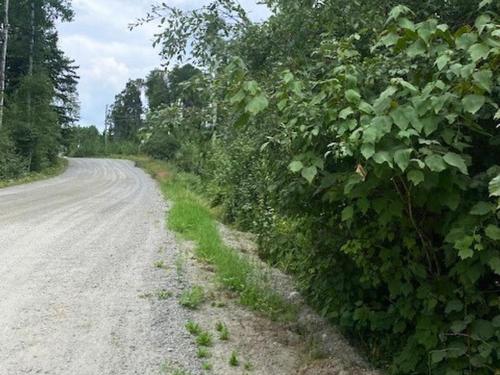 Lot 14 Jarnel Drive, Kenora, ON 