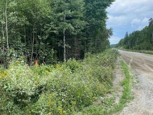 Lot 14 Jarnel Drive, Kenora, ON 