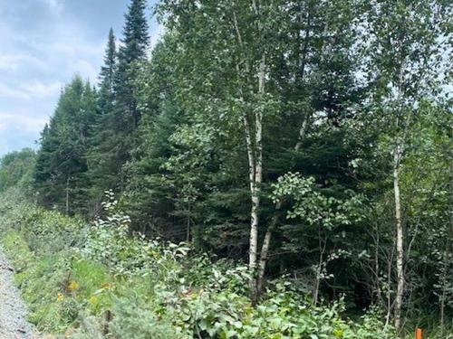 Lot 14 Jarnel Drive, Kenora, ON 