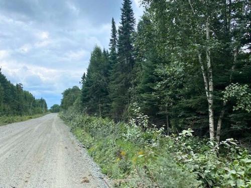 Lot 14 Jarnel Drive, Kenora, ON 