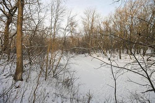 0 River Rd, Lorette, MB 