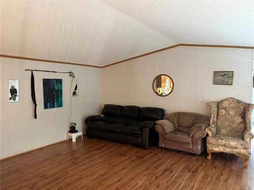 89 Mcdonald Drive, Strathclair, MB - Indoor Photo Showing Living Room