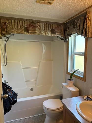 89 Mcdonald Drive, Strathclair, MB - Indoor Photo Showing Bathroom