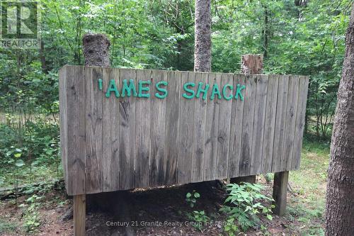 1082 Green Lake Road, Algonquin Highlands (Stanhope), ON - Outdoor