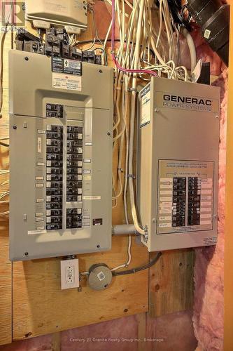 Whole House 17KW Generac backup - 1082 Green Lake Road, Algonquin Highlands (Stanhope), ON - Indoor Photo Showing Basement