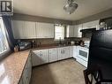102 9Th Avenue Se, Weyburn, SK  - Indoor Photo Showing Kitchen With Double Sink 