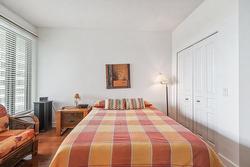 Chambre à coucher principale - 