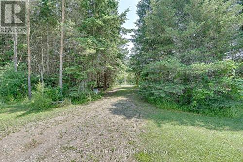 6 Shell Crescent, Mono, ON - Outdoor