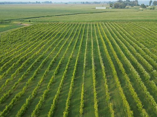 Photo aérienne - 96 Ch. De La Chapelle, Saint-Sulpice, QC 