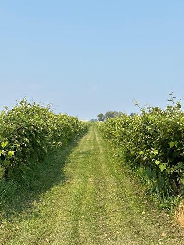 Vue - 96 Ch. De La Chapelle, Saint-Sulpice, QC 