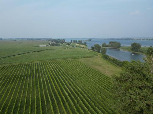 Photo aérienne - 96 Ch. De La Chapelle, Saint-Sulpice, QC 