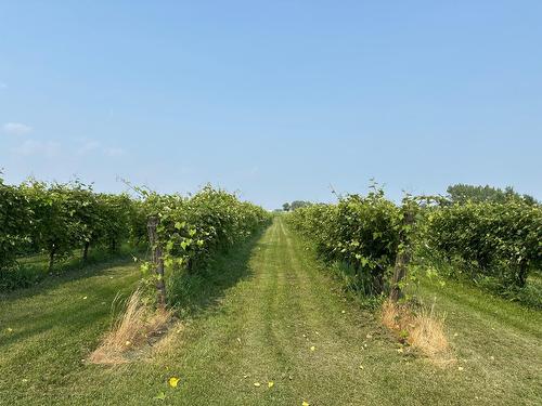 Terre/Terrain - 96 Ch. De La Chapelle, Saint-Sulpice, QC 