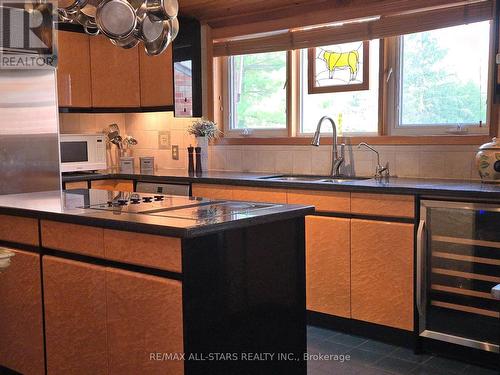 321 Rabys Shore Drive, Kawartha Lakes (Fenelon Falls), ON - Indoor Photo Showing Kitchen With Double Sink