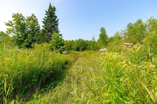 Terre/Terrain - Ch. De West Brome, Lac-Brome, QC 