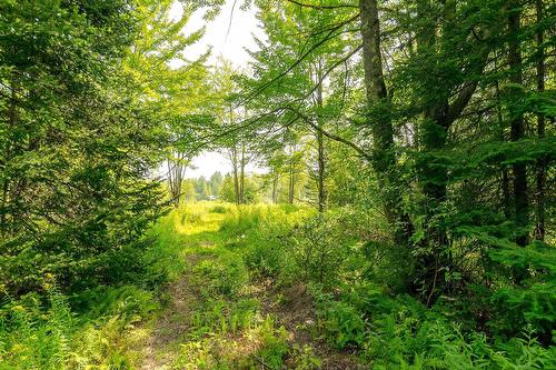 Terre/Terrain - Ch. De West Brome, Lac-Brome, QC 