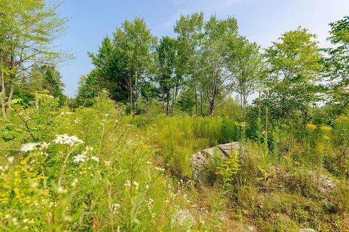 Terre/Terrain - Ch. De West Brome, Lac-Brome, QC 