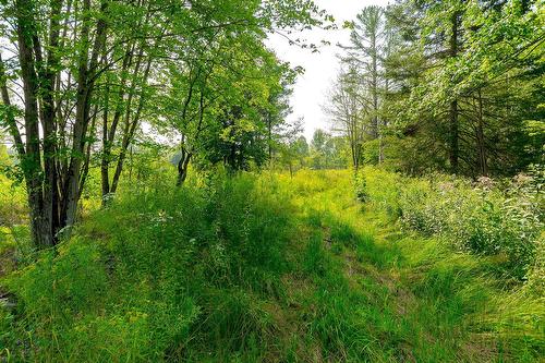 Terre/Terrain - Ch. De West Brome, Lac-Brome, QC 