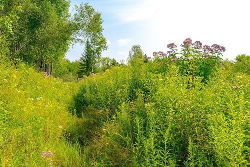 Terre/Terrain - Ch. De West Brome, Lac-Brome, QC 