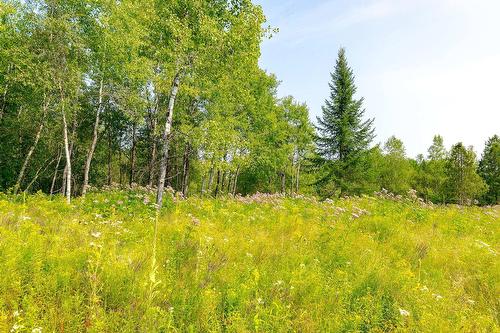 Terre/Terrain - Ch. De West Brome, Lac-Brome, QC 