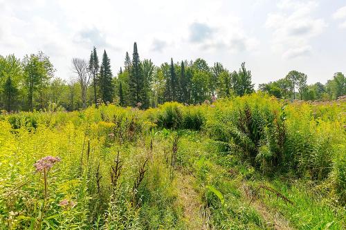 Terre/Terrain - Ch. De West Brome, Lac-Brome, QC 