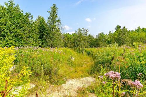 Terre/Terrain - Ch. De West Brome, Lac-Brome, QC 