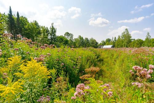 Terre/Terrain - Ch. De West Brome, Lac-Brome, QC 