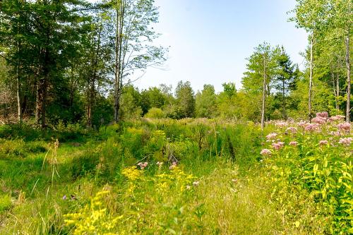 Terre/Terrain - Ch. De West Brome, Lac-Brome, QC 