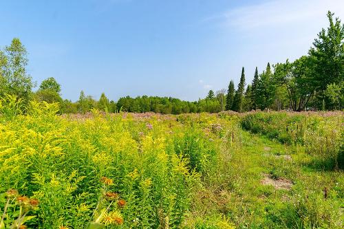 Terre/Terrain - Ch. De West Brome, Lac-Brome, QC 