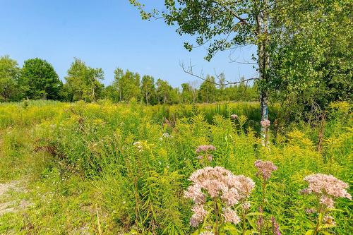 Terre/Terrain - Ch. De West Brome, Lac-Brome, QC 