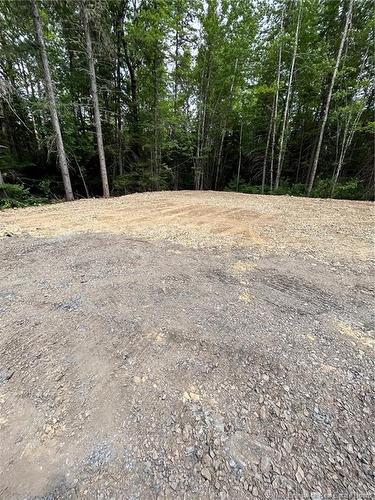 516 Salem Rd, Canaan, NB 