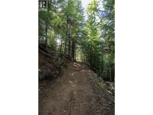 300 Richie Road, Rossland, BC - Outdoor