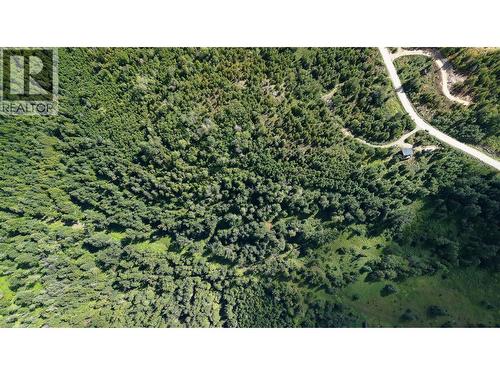 300 Richie Road, Rossland, BC - Outdoor