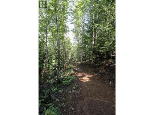 300 Richie Road, Rossland, BC - Outdoor With View