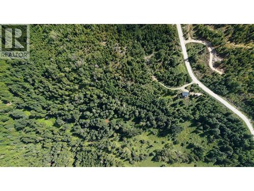 300 Richie Road, Rossland, BC - Outdoor