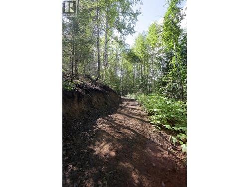 300 Richie Road, Rossland, BC - Outdoor