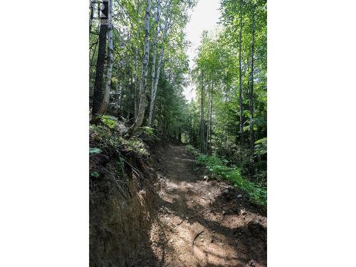 300 Richie Road, Rossland, BC - Outdoor With View