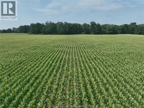 195 Second Concession Road, Princeton, ON 