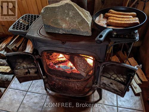 299 Sherwood Drive, Perry, ON - Indoor With Fireplace