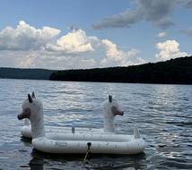 Accès au plan d'eau - 