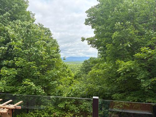 View - 615 Ch. Des Chantiers, Labelle, QC - Outdoor