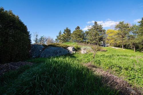 Cour - 309 Rue Taché, Saint-Pascal, QC - Outdoor