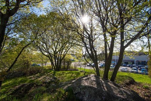 Cour - 309 Rue Taché, Saint-Pascal, QC - Outdoor With View