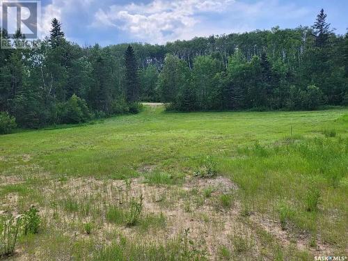 25 Tranquility Drive, Big River Rm No. 555, SK 