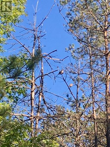 Pl 20 Concession 18 W, Tiny, ON 