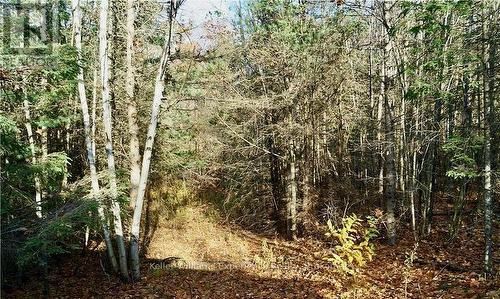 Pl 20 Concession 18 W, Tiny, ON 